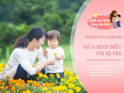 Làm mẹ - Mùa sinh quyết định chỉ số IQ, trẻ sinh ra vào mùa này có lợi thế thông minh