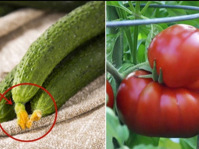 Ra chợ gặp 7 loại rau này tuyệt đối đừng mua kẻo hại sức khỏe, người bán thường không ăn