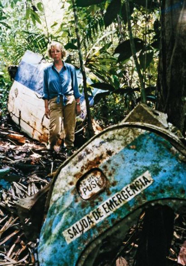 The only girl who survived the plane crash 3,000 m: 11 days fighting in the jungle for life - 5