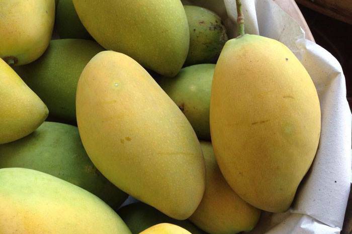 Mangoes are chemically ripe to make them fresher, not crushed, you can tell by looking at the stem - 1