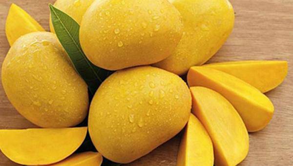 Chemically ripe mangoes are fresher, not crushed, you can tell by looking at the stem - 3