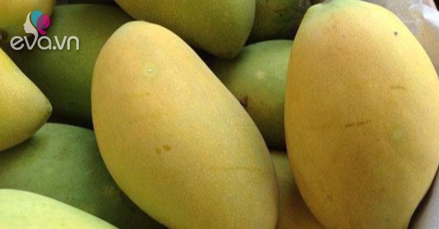 Mangoes are chemically ripe to be fresher, not crushed, you can tell by looking at the stems