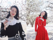 TV Show - Mê mẩn ngắm vẻ đẹp "sắc nước hương trời" của MC Thanh Mai giữa vườn hạnh nhân nên thơ