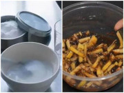 Nhà đẹp - Chỉ đặt một bát nước trong góc nhà bạn sẽ bất ngờ vì không còn con gián nào bén mảng
