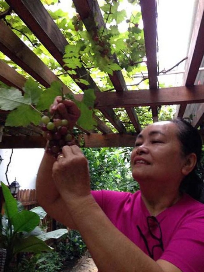 I'm a famous person, Vietnamese star parents in the countryside simple and peaceful life in the garden - 8