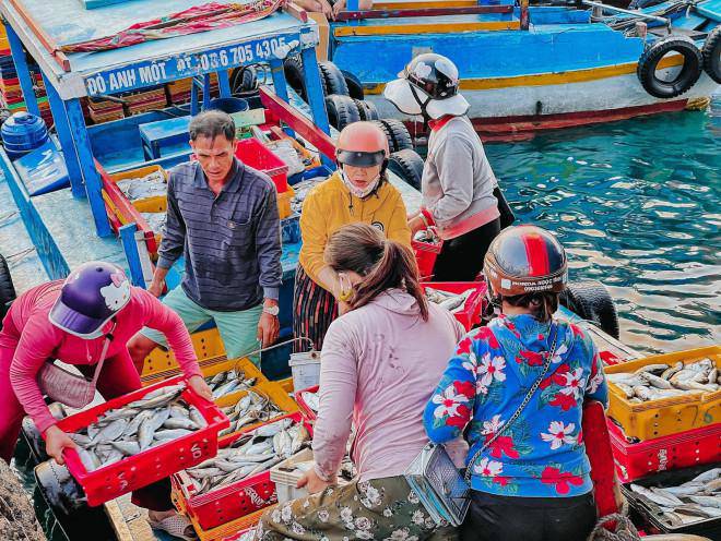 Splitting Phu Quy Island in the most beautiful season at the cost of chestnuts - 8