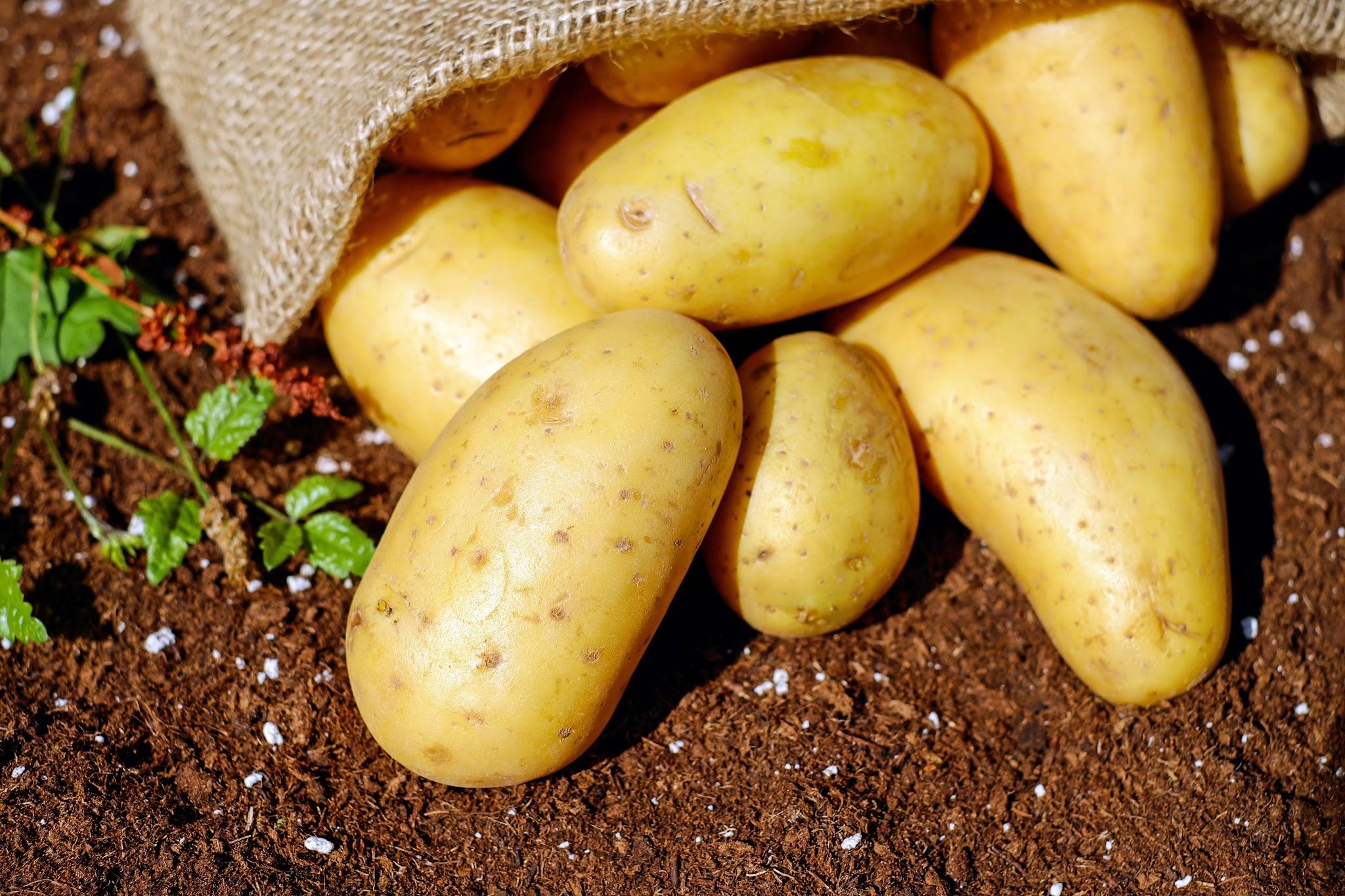 Is it healthier to eat sweet potatoes or sweet potatoes?  The answer is different from what many people predict - 4