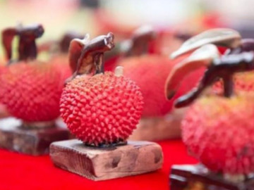 Đắt ngang một chiếc xe Mercedes gần 2 tỷ đồng, quả vải gia lục có gì đặc biệt?