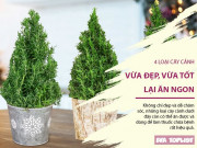 Clip Eva - 4 loại cây cảnh không chỉ để ngắm mà còn nấu thành món ngon, cực tốt cho sức khỏe