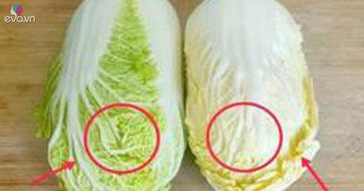 Yellow leaf and green leaf cabbage, which one to eat?  Vegetable seller reveals the truth