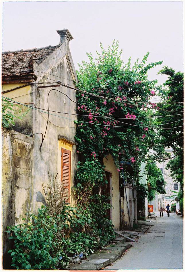 The stunning beauty of two famous ancient villages in Hanoi - 9