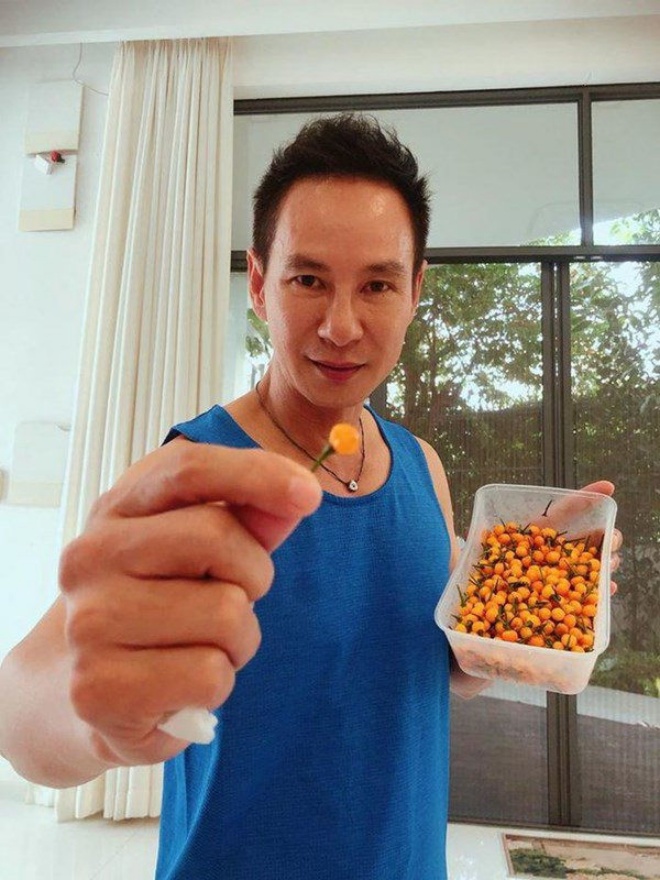 Cool hands grow half a billion 1kg chili: Ly Hai owns the whole garden, Quoc Thuan gets 10 fruits a day - 5
