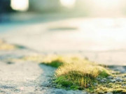 Eva tám - Sở hữu những đặc điểm này, 9 phần 10 là người giả tạo