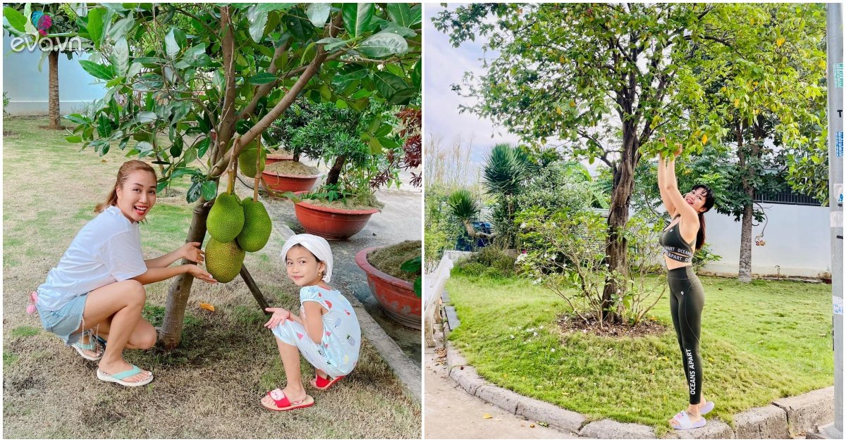 Snail Thanh Van flaunts the garden that her husband takes care of, the interior of the villa is no different from a garden