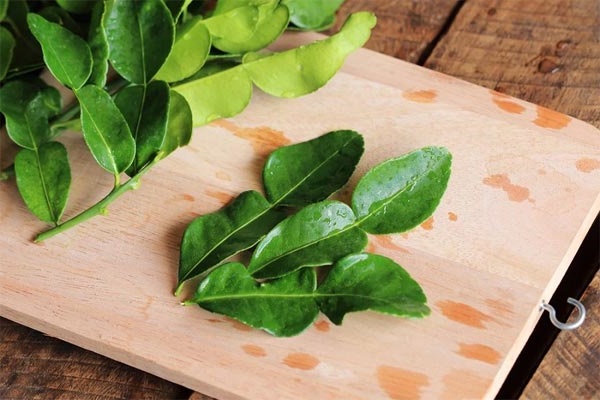 Top 23 loại rau thơm phổ biến ở Việt Nam và tác dụng đối với sức khỏe - 19