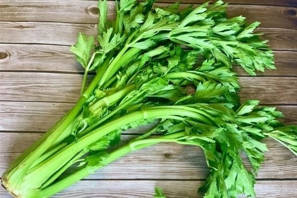 Top 23 popular herbs in Vietnam and their effects on health - 12