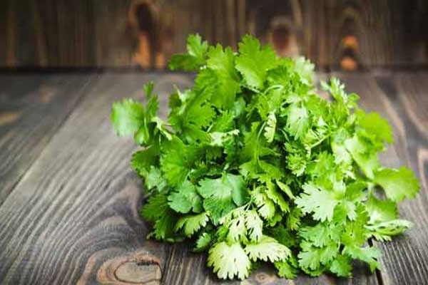 Top 23 popular herbs in Vietnam and their effects on health - 11