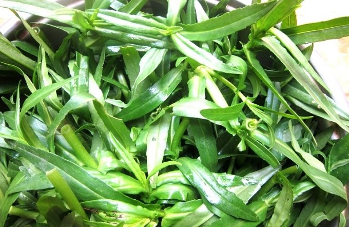 Rau Ngổ chữa bệnh gì, có tác dụng gì đối với sức khỏe? - 3