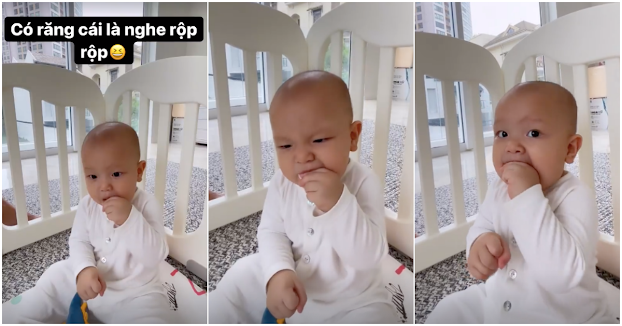 Leon rất hứng thú với việc ăn uống và từ khi mọc được 4 chiếc răng, suốt ngày cả nhà Hà Hồ đều nghe tiếng rột rột từ cậu bé.