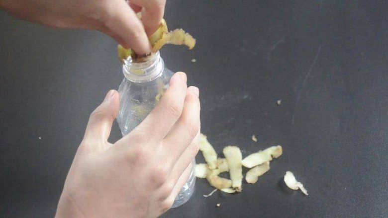 Nhét vỏ khoai tây vào vỏ chai nước rỗng, tưởng rỗi hơi nhưng lợi ích mang lại nhiều không ngờ - 3