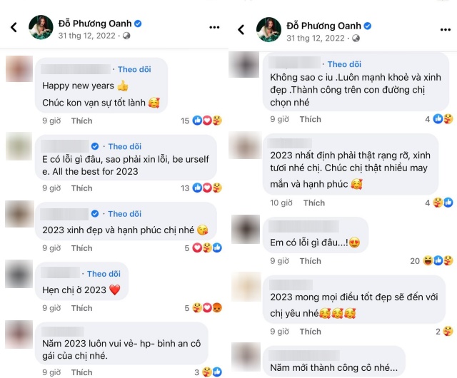 Những bình luận an ủi, động viên và gửi lời chúc tốt đẹp đến Phương Oanh trong dịp năm mới. 