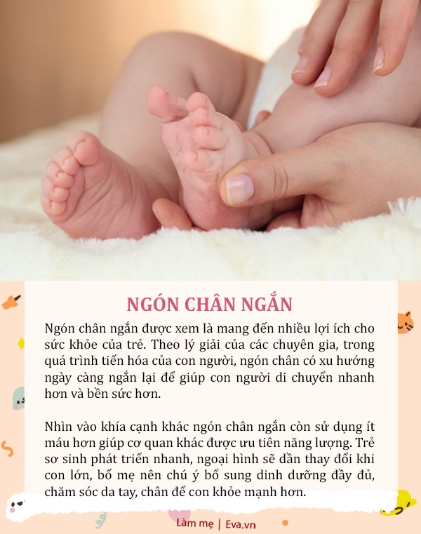 Trẻ có 5 đặc điểm này tưởng xấu xí, nhưng báo hiệu bé khỏe, có tố chất thiên tài - 5