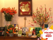 Sức khỏe - Loại hoa tượng trưng cho sự thanh cao ngày Tết, chuyên gia chỉ mẹo hay làm thành bài thuốc tốt cho sức khỏe
