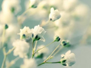 Eva tám - 5 thói quen tốt giúp cuộc sống tự nhiên tốt đẹp, tự nhiên hạnh phúc