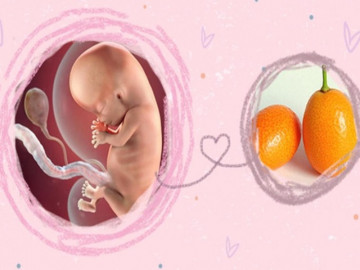 Thai nhi 10 tuần tuổi: Mẹ thay đổi ra sao và cần lưu ý những gì?