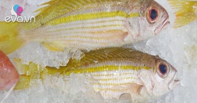 Loại cá có tên độc lạ, xưa chẳng ai biết đến, giờ trở thành đặc sản nổi ...