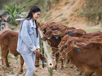 Mỹ nhân chăn bò đẹp như tiên nữ, thì ra từng đạt giải Á hậu cấp quốc gia