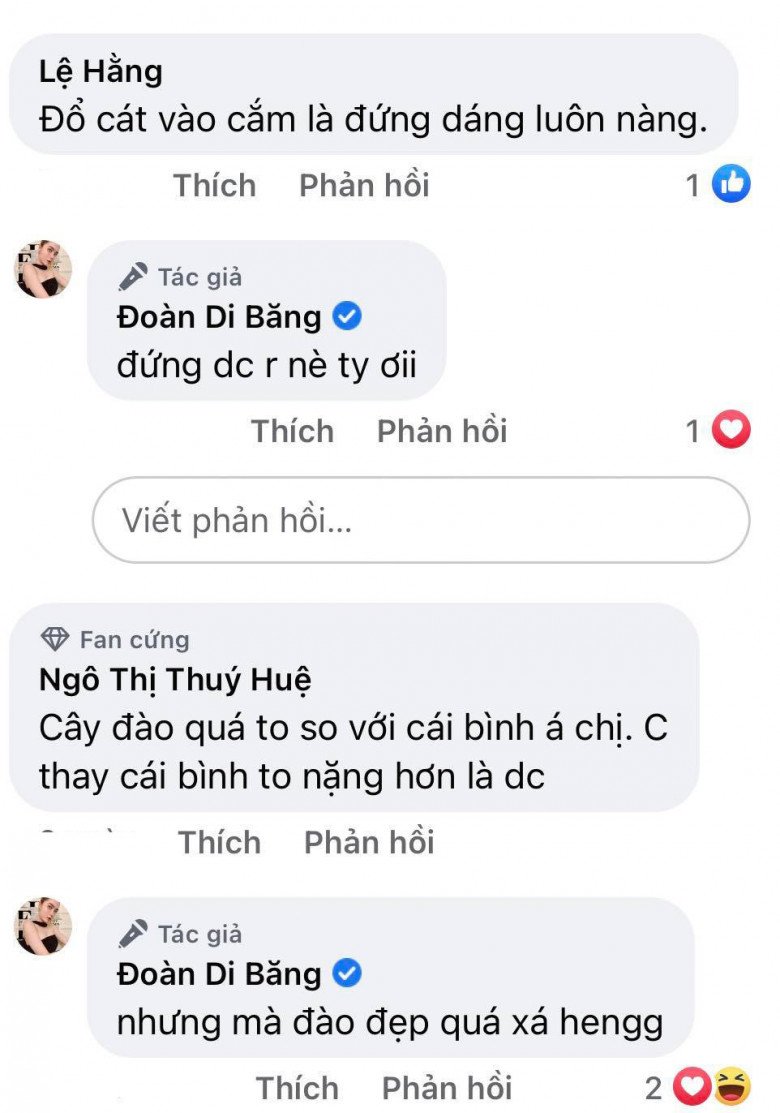 Đại gia Đoàn Di Băng trang trí nhà lộng lẫy, suýt phải chơi trội tuyển người đỡ cành đào huyền xuyên Tết - 4