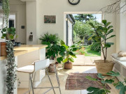 Nhà đẹp - Mang cây cảnh vào nhà đón Tết, nhớ 5 nguyên tắc sau nhà mới nhiều tài lộc