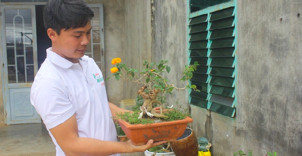 Cây dại mọc ven đường nở hoa sặc sỡ lên chậu thành bonsai trưng Tết, vừa đẹp vừa độc-lạ được nhiều người săn đón - 4