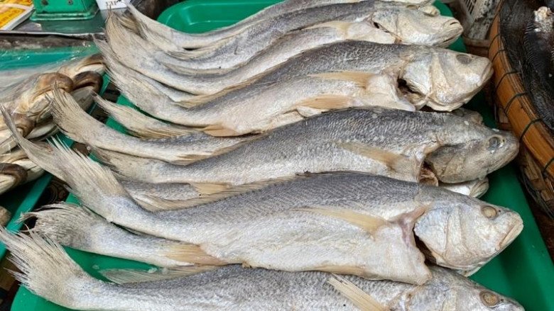 Loại cá xưa có đầy ít người biết, giờ thành đặc sản được dân thành thị amp;#34;săn lùngamp;#34;, 180.000 đồng/kg - 3