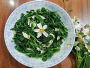 Sức khỏe - Loại cây xưa mọc dại nay thành đặc sản, còn chữa được bệnh, nhiều người có trước cổng mà không biết ăn hay dùng làm thuốc