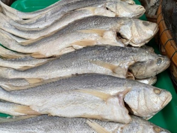 Loại cá xưa có đầy ít người biết, giờ thành đặc sản được dân thành thị săn lùng, 180.000 đồng/kg