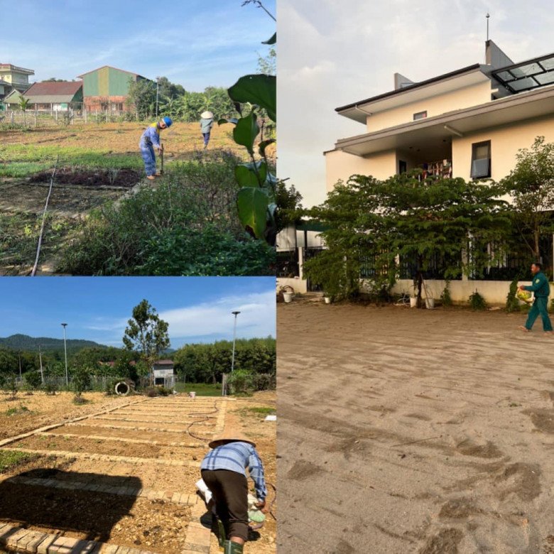 Mẹ đơn thân bỏ phố về quê sau 15 năm, xây nhà 5,5 tỷ với khu vườn 2000m2 bạt ngàn rau trái - 8