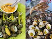 Xem ăn chơi - 3 loại ốc nhất định phải thử khi đến Côn Đảo, vị ngon "nức nở" khiến ai cũng muốn mua về ăn dần