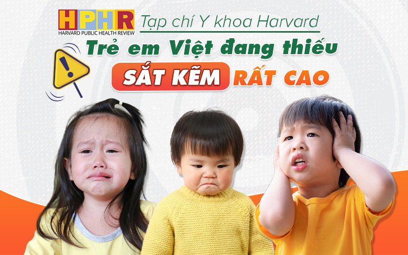 Trẻ em Việt thiếu sắt kẽm cao, Tạp chí Y Khoa Harvard lưu ý cha mẹ những điều này - 1