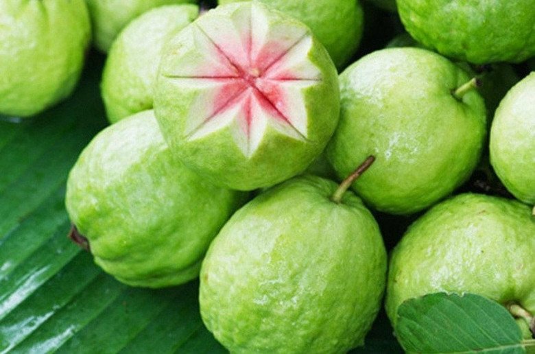 Quả ổi được mệnh danh là siêu phẩm giúp siết eo, giảm mỡ