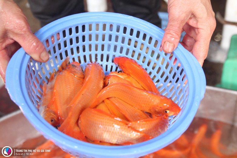Tại các chợ dân sinh, nhiều người tranh thủ ra cả vỉa hè bán cá chép đỏ nhưng rất ít người mua, thậm chí cả buổi sáng không bán được con cá nào.