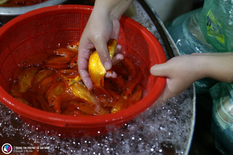 Cận ngày ông Công ông Táo, giá cá chép giảm sâu, nhiều tiểu thương đứng cả buổi sáng không bán được con nào - 2