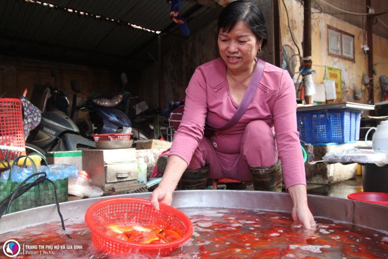 Cận ngày ông Công ông Táo, giá cá chép giảm sâu, nhiều tiểu thương đứng cả buổi sáng không bán được con nào - 6