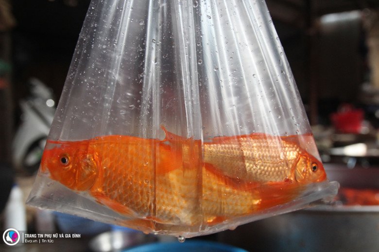 Tại khu vực chuyên bán cá trong chợ dân sinh cũng rất ảm đảm, người mua rất ít và nỗi lo phải đổ cá xuống hồ của các tiểu thương luôn hiện hữu.