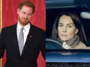Giải trí - Phát hiện nhiều chi tiết sai sự thật trong hồi ký của Hoàng tử Harry, Kate lộ diện sau khi bị "nói xấu"