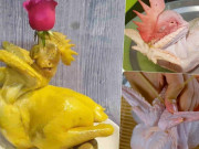 Vì sao luộc gà cúng Tết hay buộc cánh tiên? Học lỏm cách buộc gà siêu nhanh chỉ với 1 sợi lạt