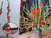 Nhà đẹp - Cắm hoa lay ơn đón Tết cứ nhỏ vài giọt này vào thì đến Rằm tháng Giêng hoa vẫn tươi roi rói không sợ thối gốc