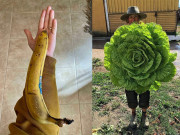 Xem ăn chơi - "Trúng số độc đắc" phiên bản đồ ăn, nhìn những bức ảnh này bạn sẽ vô cùng thỏa mãn