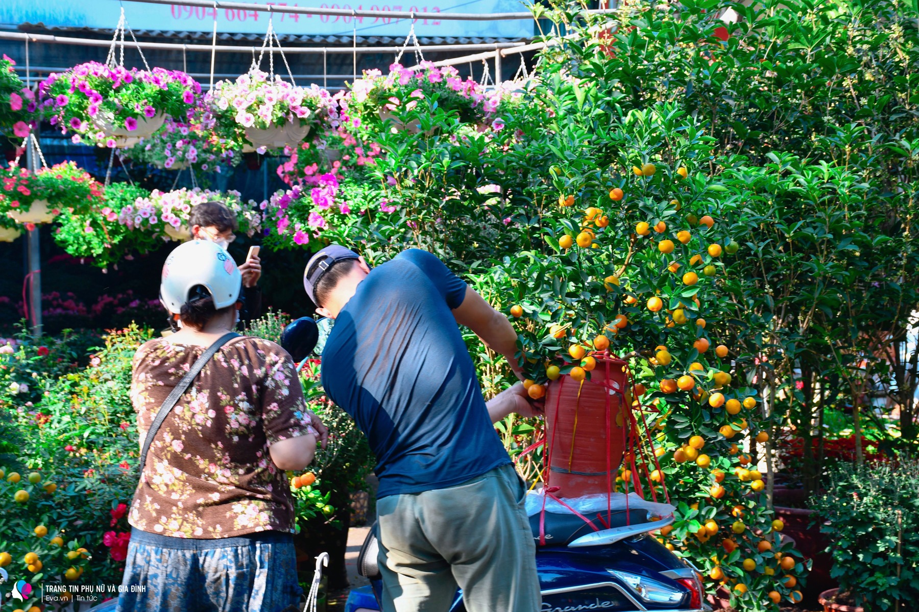Rực rỡ sắc xuân tại chợ cây lớn nhất Hà Nội, Tết đã đến rất gần - 1